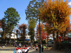 img_5367