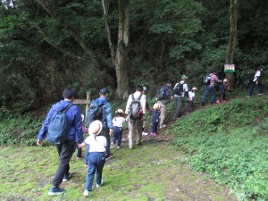 IMG_0612